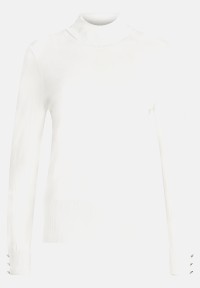 Betty Barclay Rollkragenpullover langarm