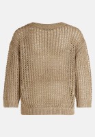 Betty Barclay Lochstrick-Pullover mit Pailletten