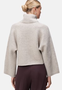 zero Strickpullover mit Rollkragen | Betty Barclay