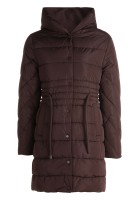 Chocolate Plum