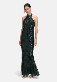 Vera MontAbendkleid